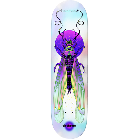 David Loy Ilham Insects Deck 8.5